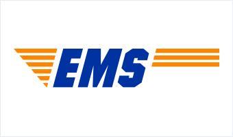 EMS Logo